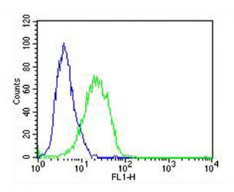 Flow cytometry testing of fixed and permeabilized human A549 cells with Adrenomedullin antibody; Blue=isotype control, Green= Adrenomedullin antibody.