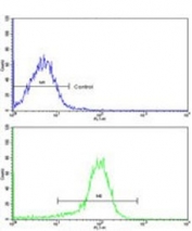 Flow cytometry testing of human WiDr cells with ZWINT antibody; Blue=isotype control, Green= ZWINT antibody.