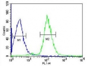 Flow cytometry testing of human HepG2 cells with Serpin C1 antibody; Blue=isotype control, Green= Serpin C1 antibody.