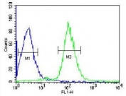 Flow cytometry testing of human HepG2 cells with Serpin C1 antibody; Blue=isotype control, Green= Serpin C1 antibody.