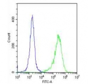 Flow cytometry testing of fixed and permeabilized human HeLa cells with PI3KR1 antibody; Blue=isotype control, Green= PI3KR1 antibody.