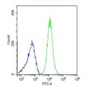 Flow cytometry testing of fixed and permeabilized human WiDr cells with SCNN1A antibody; Blue=isotype control, Green= SCNN1A antibody.