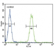 Flow cytometry testing of human WiDr cells with SCNN1A antibody; Blue=isotype control, Green= SCNN1A antibody.