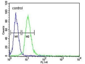 Flow cytometry testing of human HEK293 cells with AIF antibody; Blue=isotype control, Green= AIF antibody.