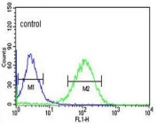 Flow cytometry testing of human HepG2 cells with ZNF202 antibody; Blue=isotype control, Green= ZNF202 antibody.