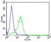 Flow cytometry testing of fixed and permeabilized rat PC-12 cells with RAB3A antibody; Blue=isotype control, Green= RAB3A antibody.
