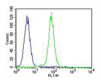 Flow cytometry testing of fixed and permeabilized human K562 cells with CDK5 antibody; Blue=isotype control, Green= CDK5 antibody.