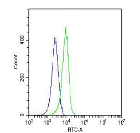 Flow cytometry testing of fixed and permeabilized human HeLa cells with PCNA antibody; Blue=isotype control, Green= PCNA antibody.