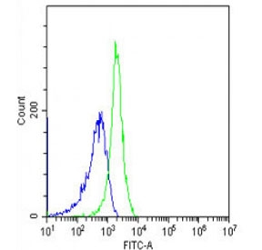 Flow cytometry testing of fixed human Jurkat cells with CD10 antibody; Blue=isotype control, Green= CD10 antibody.