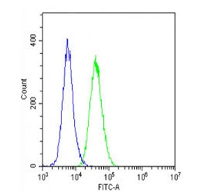 Flow cytometry testing of fixed and permeabilized mouse C2C12 cells with Vinculin antibody; Blue=isotype control, Green= Vinculin antibody.