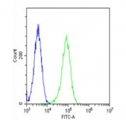 Flow cytometry testing of fixed and permeabilized human HeLa cells with HSD17B10 antibody; Blue=isotype control, Green= HSD17B10 antibody.