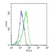 Flow cytometry testing of fixed and permeabilized human U-2 OS cells with Rab-23 antibody; Blue=isotype control, Green= Rab-23 antibody.