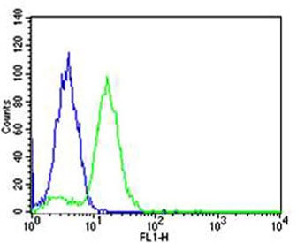 Flow cytometry testing of human HeLa cells with BCL10 antibody; Blue=isotype control, Green= BCL10 antibody.