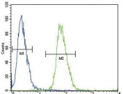 Flow cytometry testing of human HEK293 cells with Alcohol dehydrogenase 4 antibody; Blue=isotype control, Green= Alcohol dehydrogenase 4 antibody.
