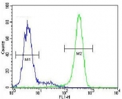 Flow cytometry testing of human HepG2 cells with EMC1 antibody; Blue=isotype control, Green= EMC1 antibody.