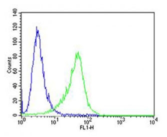 Flow cytometry testing of human A549 cells with cGAMP Synthase antibody; Blue=isotype control, Green= cGAMP Synthase antibody.