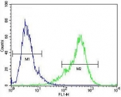 Flow cytometry testing of mouse NIH 3T3 cells with MEAK7 antibody; Blue=isotype control, Green= MEAK7 antibody.