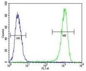 Flow cytometry testing of human MCF7 cells with BCL10 antibody; Blue=isotype control, Green= BCL10 antibody.