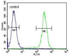 Flow cytometry testing of human CEM cells with HIST1H2BJ antibody; Blue=isotype control, Green= HIST1H2BJ antibody.