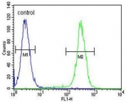 Flow cytometry testing of human CEM cells with HIST1H2BJ antibody; Blue=isotype control, Green= HIST1H2BJ antibody.
