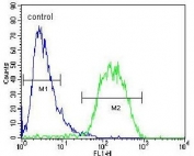 Flow cytometry testing of human HepG2 cells with BUD13 antibody; Blue=isotype control, Green= BUD13 antibody.