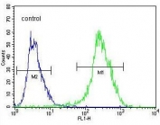 Flow cytometry testing of human HepG2 cells with NR0B2 antibody; Blue=isotype control, Green= NR0B2 antibody.