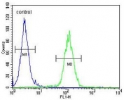 Flow cytometry testing of human MCF7 cells with Upstream stimulatory factor 1 antibody; Blue=isotype control, Green= Upstream stimulatory factor 1 antibody.