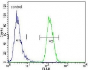 Flow cytometry testing of human WiDr cells with NARS antibody; Blue=isotype control, Green= NARS antibody.