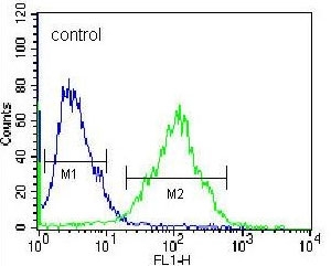 Flow cytometry testing of human HEK293 cells with Prolyl-tRNA synthetase antibody; Blue=isotype control, Green= Prolyl-tRNA synthetase antibody.