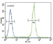 Flow cytometry testing of human HeLa cells with Betacellulin antibody; Blue=isotype control, Green= Betacellulin antibody.