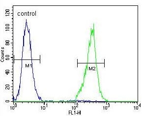 Flow cytometry testing of human NCI-H460 cells with TRIM65 antibody; Blue=isotype control, Green= TRIM65 antibody.