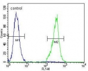 Flow cytometry testing of human NCI-H460 cells with TRIM65 antibody; Blue=isotype control, Green= TRIM65 antibody.