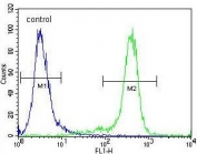 Flow cytometry testing of human NCI-H460 cells with Growth arrest-specific protein 1 antibody; Blue=isotype control, Green= Growth arrest-specific protein 1 antibody.