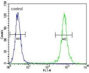 Flow cytometry testing of human HeLa cells with TRADD antibody; Blue=isotype control, Green= TRADD antibody.