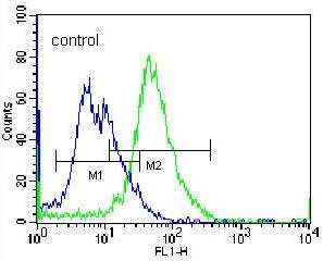 Flow cytometry testing of human NCI-H460 cells with Phospholipase C-L2 antibody; Blue=isotype control, Green= Phospholipase C-L2 antibody.