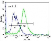 Flow cytometry testing of human NCI-H460 cells with Phospholipase C-L2 antibody; Blue=isotype control, Green= Phospholipase C-L2 antibody.