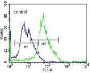 Flow cytometry testing of human NCI-H460 cells with Gamma-glutamyl hydrolase antibody; Blue=isotype control, Green= Gamma-glutamyl hydrolase antibody.