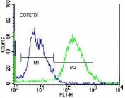 Flow cytometry testing of human NCI-H460 cells with GSR antibody; Blue=isotype control, Green= GSR antibody.
