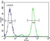 Flow cytometry testing of human K562 cells with Villin-like protein antibody; Blue=isotype control, Green= Villin-like protein antibody.