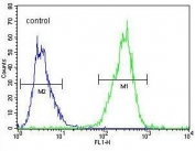 Flow cytometry testing of human HepG2 cells with Glutaredoxin 3 antibody; Blue=isotype control, Green= Glutaredoxin 3 antibody.