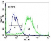 Flow cytometry testing of NCI-H460 cells with Protocadherin alpha-C2 antibody; Blue=isotype control, Green= Protocadherin alpha-C2 antibody.