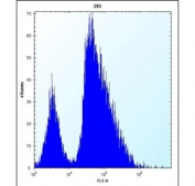 Flow cytometry testing of human HEK293 cells with VSNL1 antibody; Left=isotype control, Right= VSNL1 antibody.