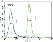 Flow cytometry testing of human NCI-H460 cells with UDP-glucuronosyltransferase 2B15 antibody; Blue=isotype control, Green= UDP-glucuronosyltransferase 2B15 antibody.