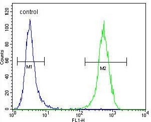 Flow cytometry testing of human HeLa cells with WFDC1 antibody; Blue=isotype control, Green= WFDC1 antibody.