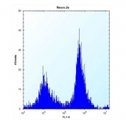 Flow cytometry testing of mouse Neuro-2a cells with c-Raf antibody; Left=isotype control, Right= c-Raf antibody.