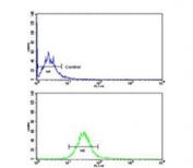 Flow cytometry testing of human NCI-H460 cells with Cadherin 10 antibody; Blue=isotype control, Green= Cadherin 10 antibody.