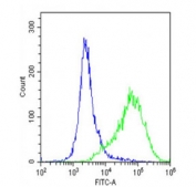 Flow cytometry testing of fixed and permeabilized human U-2 OS cells with PRRT2 antibody; Blue=isotype control, Green= PRRT2 antibody.