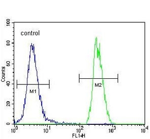Flow cytometry testing of human HEK293 cells with SOX2 antibody; Blue=isotype control, Green= SOX2 antibody.
