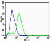 Flow cytometry testing of human U-87 MG cells with Hemoglobin subunit gamma-2 antibody; Blue=isotype control, Green= Hemoglobin subunit gamma-2 antibody.