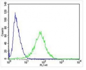 Flow cytometry testing of fixed and permeabilized human SH-SY5Y cells with NPY2R antibody; Blue=isotype control, Green= NPY2R antibody.